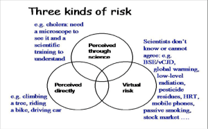 three_kinds_or_risk
