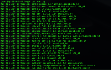 yum update